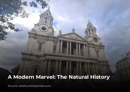 A Modern Marvel: The Natural History Museum