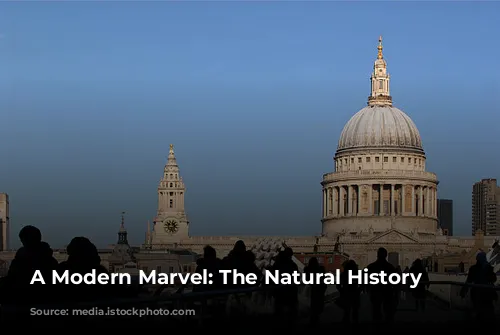 A Modern Marvel: The Natural History Museum