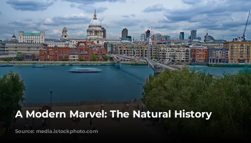 A Modern Marvel: The Natural History Museum