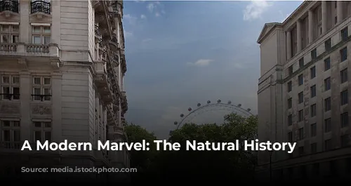 A Modern Marvel: The Natural History Museum