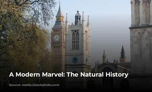 A Modern Marvel: The Natural History Museum