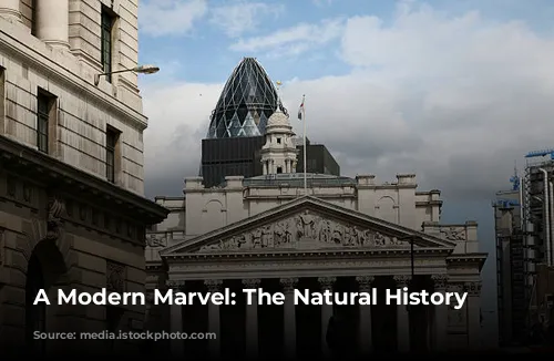 A Modern Marvel: The Natural History Museum