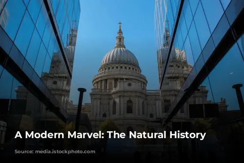 A Modern Marvel: The Natural History Museum