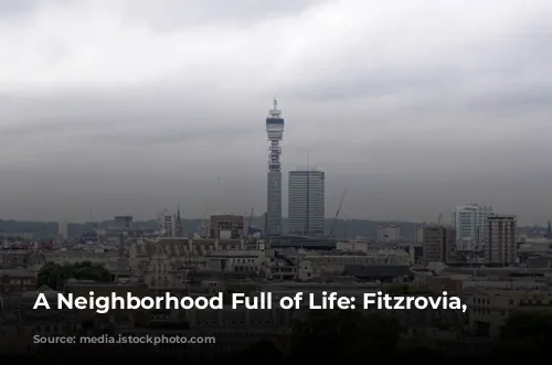 A Neighborhood Full of Life: Fitzrovia, London