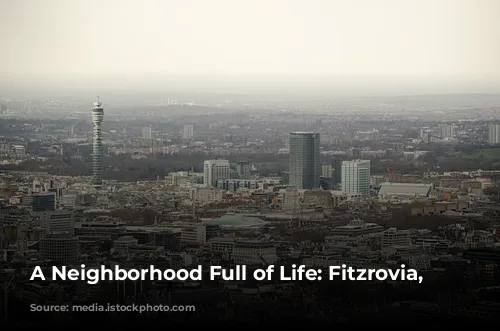 A Neighborhood Full of Life: Fitzrovia, London