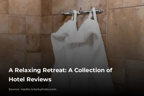 A Relaxing Retreat:  A Collection of Positive Hotel Reviews