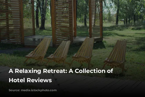 A Relaxing Retreat:  A Collection of Positive Hotel Reviews