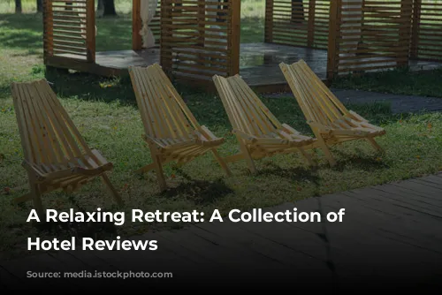 A Relaxing Retreat:  A Collection of Positive Hotel Reviews