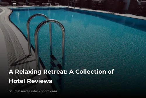 A Relaxing Retreat:  A Collection of Positive Hotel Reviews