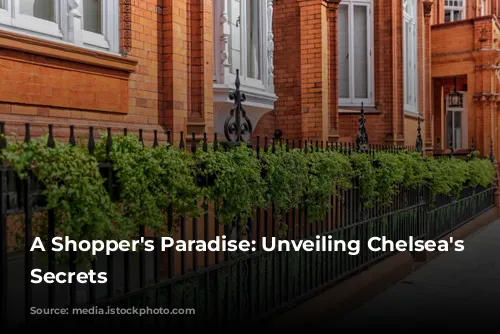 A Shopper's Paradise: Unveiling Chelsea's Chic Secrets