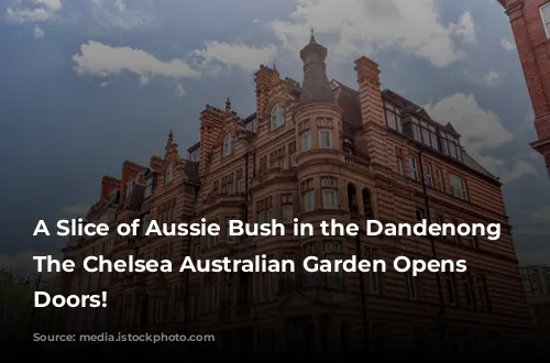 A Slice of Aussie Bush in the Dandenong Ranges: The Chelsea Australian Garden Opens its Doors!