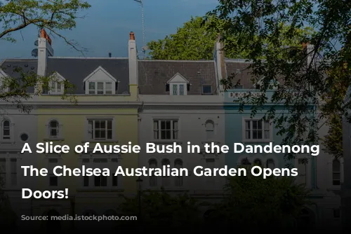 A Slice of Aussie Bush in the Dandenong Ranges: The Chelsea Australian Garden Opens its Doors!