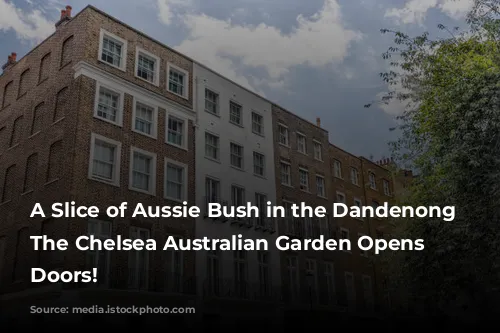 A Slice of Aussie Bush in the Dandenong Ranges: The Chelsea Australian Garden Opens its Doors!