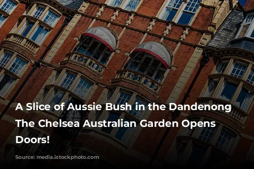 A Slice of Aussie Bush in the Dandenong Ranges: The Chelsea Australian Garden Opens its Doors!