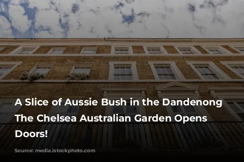 A Slice of Aussie Bush in the Dandenong Ranges: The Chelsea Australian Garden Opens its Doors!