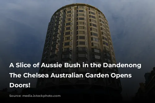 A Slice of Aussie Bush in the Dandenong Ranges: The Chelsea Australian Garden Opens its Doors!