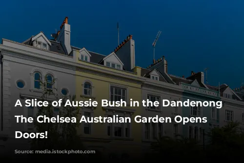 A Slice of Aussie Bush in the Dandenong Ranges: The Chelsea Australian Garden Opens its Doors!