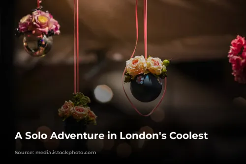 A Solo Adventure in London's Coolest Corner