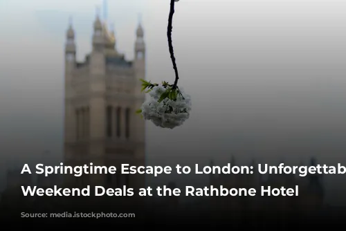 A Springtime Escape to London: Unforgettable Easter Weekend Deals at the Rathbone Hotel