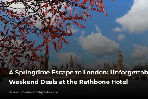 A Springtime Escape to London: Unforgettable Easter Weekend Deals at the Rathbone Hotel