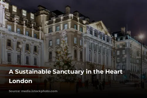 A Sustainable Sanctuary in the Heart of London