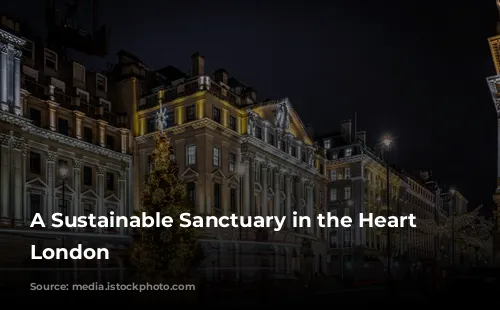 A Sustainable Sanctuary in the Heart of London