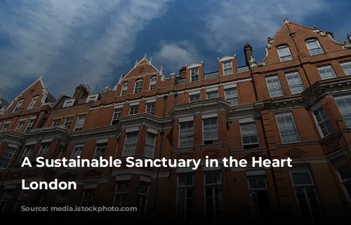 A Sustainable Sanctuary in the Heart of London