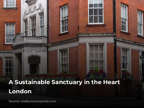 A Sustainable Sanctuary in the Heart of London