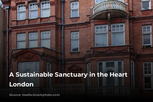 A Sustainable Sanctuary in the Heart of London