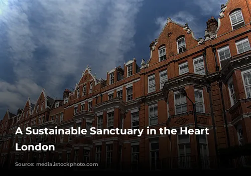 A Sustainable Sanctuary in the Heart of London