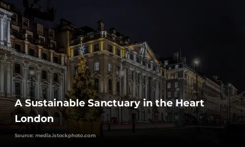 A Sustainable Sanctuary in the Heart of London