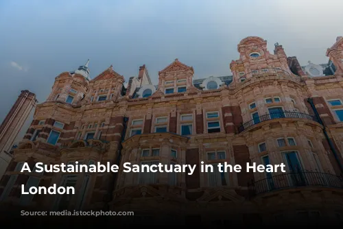 A Sustainable Sanctuary in the Heart of London