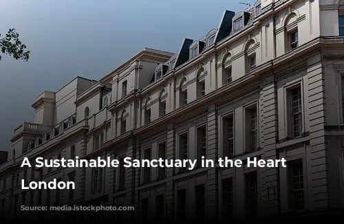 A Sustainable Sanctuary in the Heart of London