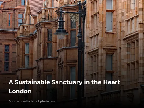 A Sustainable Sanctuary in the Heart of London