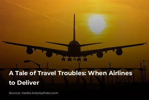 A Tale of Travel Troubles: When Airlines Fail to Deliver