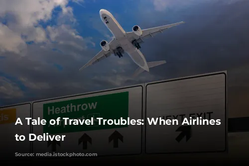 A Tale of Travel Troubles: When Airlines Fail to Deliver