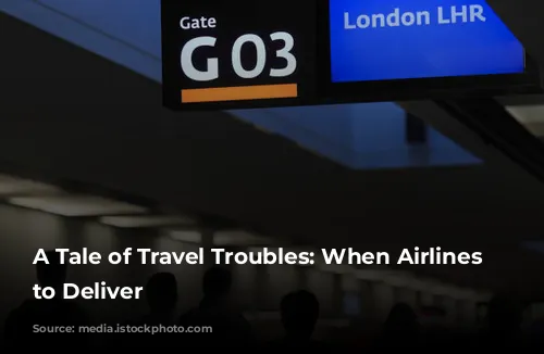 A Tale of Travel Troubles: When Airlines Fail to Deliver