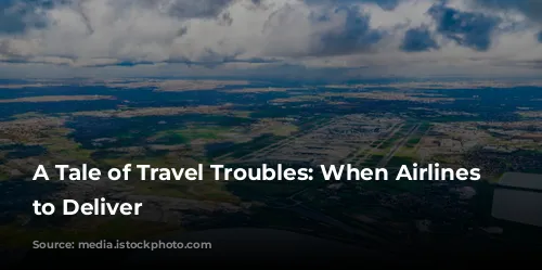 A Tale of Travel Troubles: When Airlines Fail to Deliver