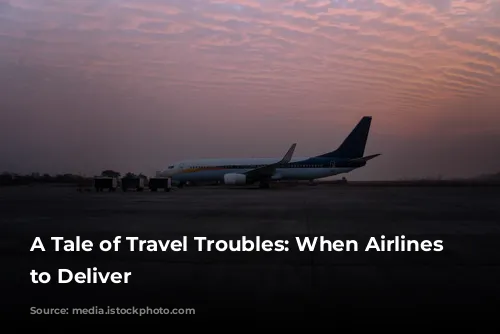 A Tale of Travel Troubles: When Airlines Fail to Deliver