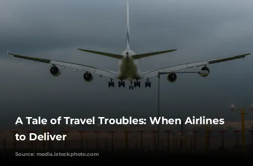 A Tale of Travel Troubles: When Airlines Fail to Deliver