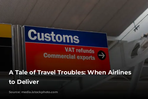 A Tale of Travel Troubles: When Airlines Fail to Deliver