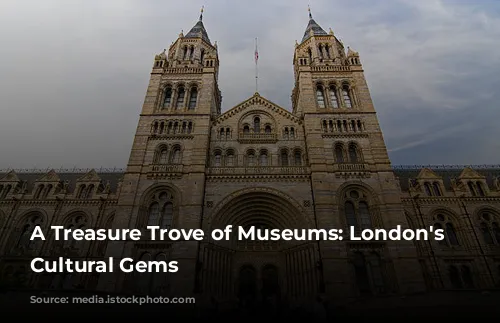 A Treasure Trove of Museums: London's Free Cultural Gems