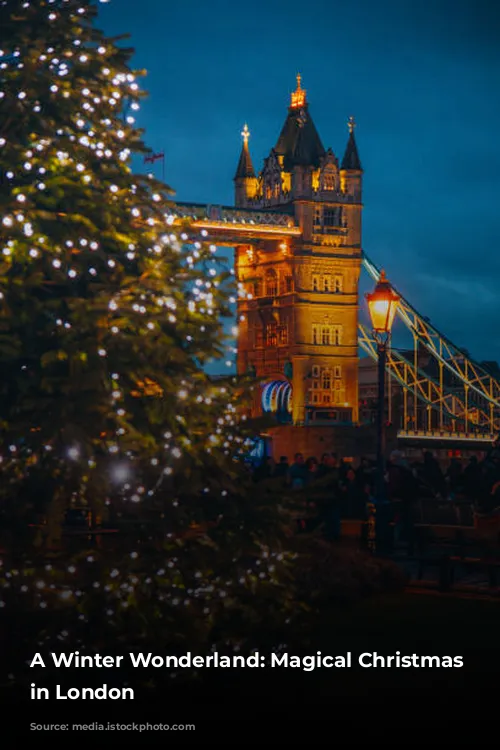 A Winter Wonderland: Magical Christmas Experiences in London