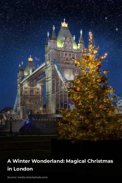 A Winter Wonderland: Magical Christmas Experiences in London