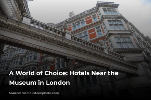 A World of Choice: Hotels Near the Science Museum in London