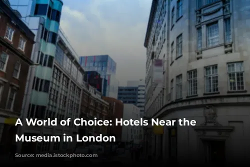 A World of Choice: Hotels Near the Science Museum in London