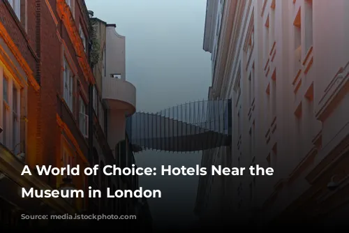 A World of Choice: Hotels Near the Science Museum in London