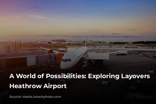 A World of Possibilities:  Exploring Layovers at Heathrow Airport