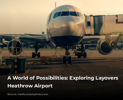 A World of Possibilities:  Exploring Layovers at Heathrow Airport