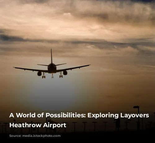 A World of Possibilities:  Exploring Layovers at Heathrow Airport